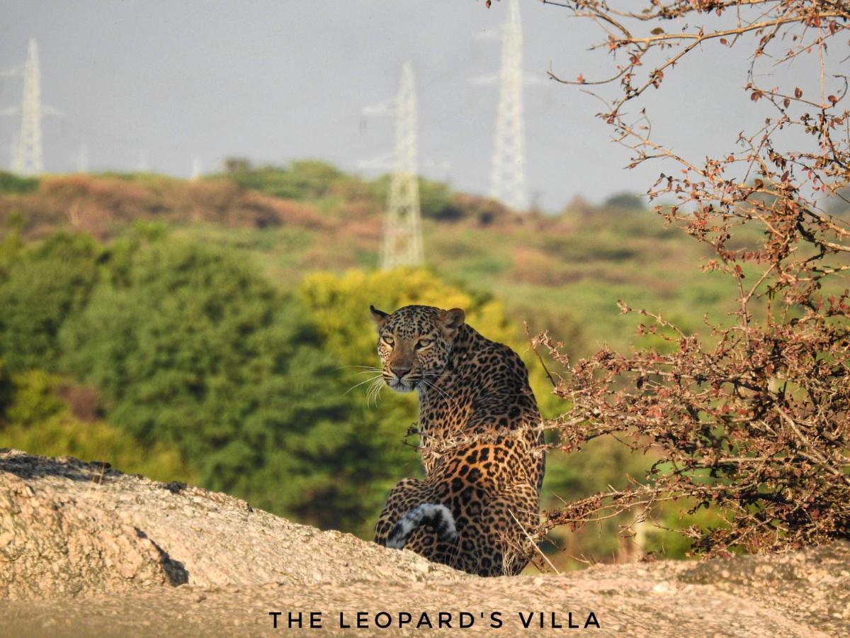 Jawai Leopard Villa Bijapur  Eksteriør billede
