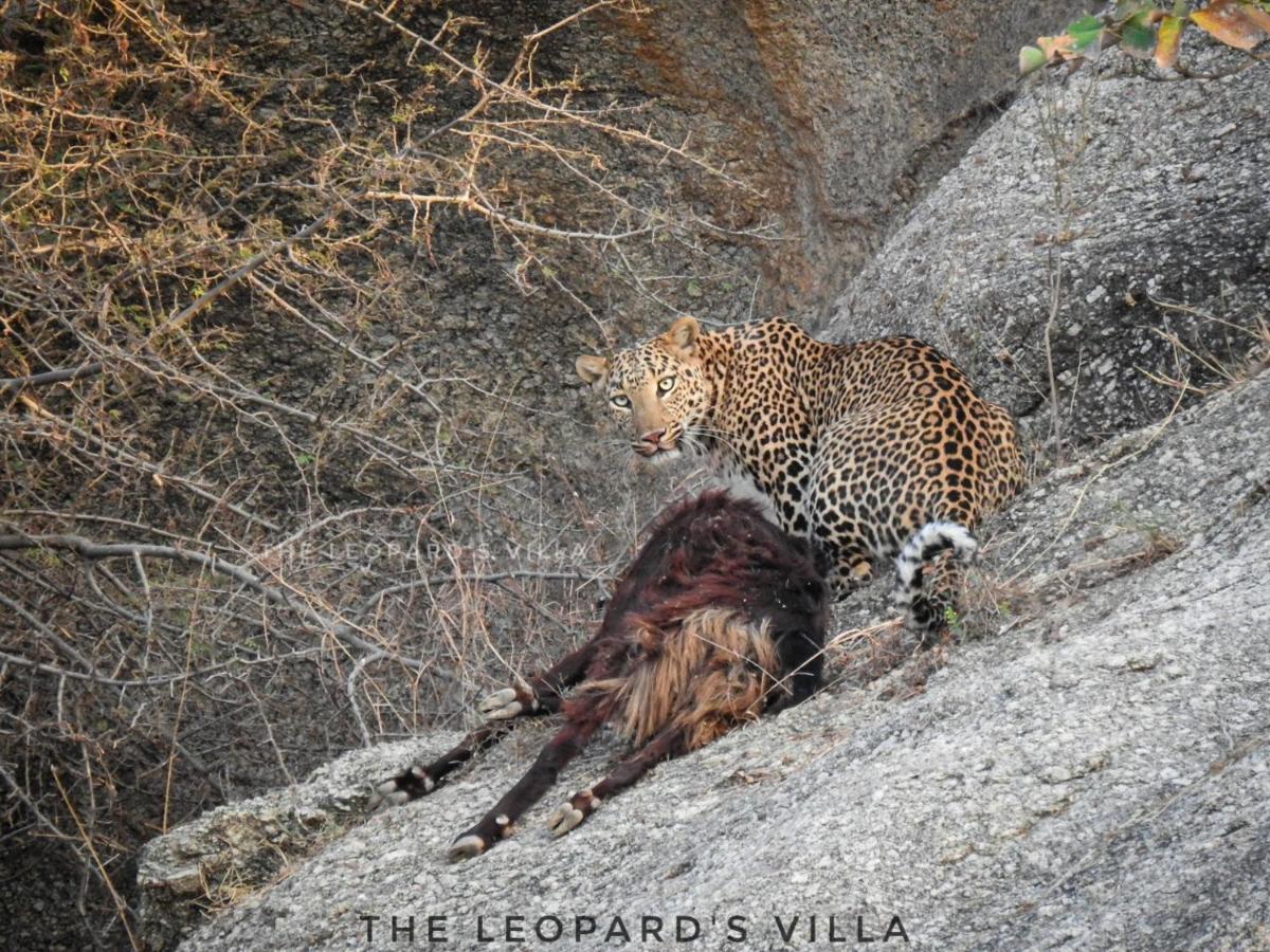 Jawai Leopard Villa Bijapur  Eksteriør billede