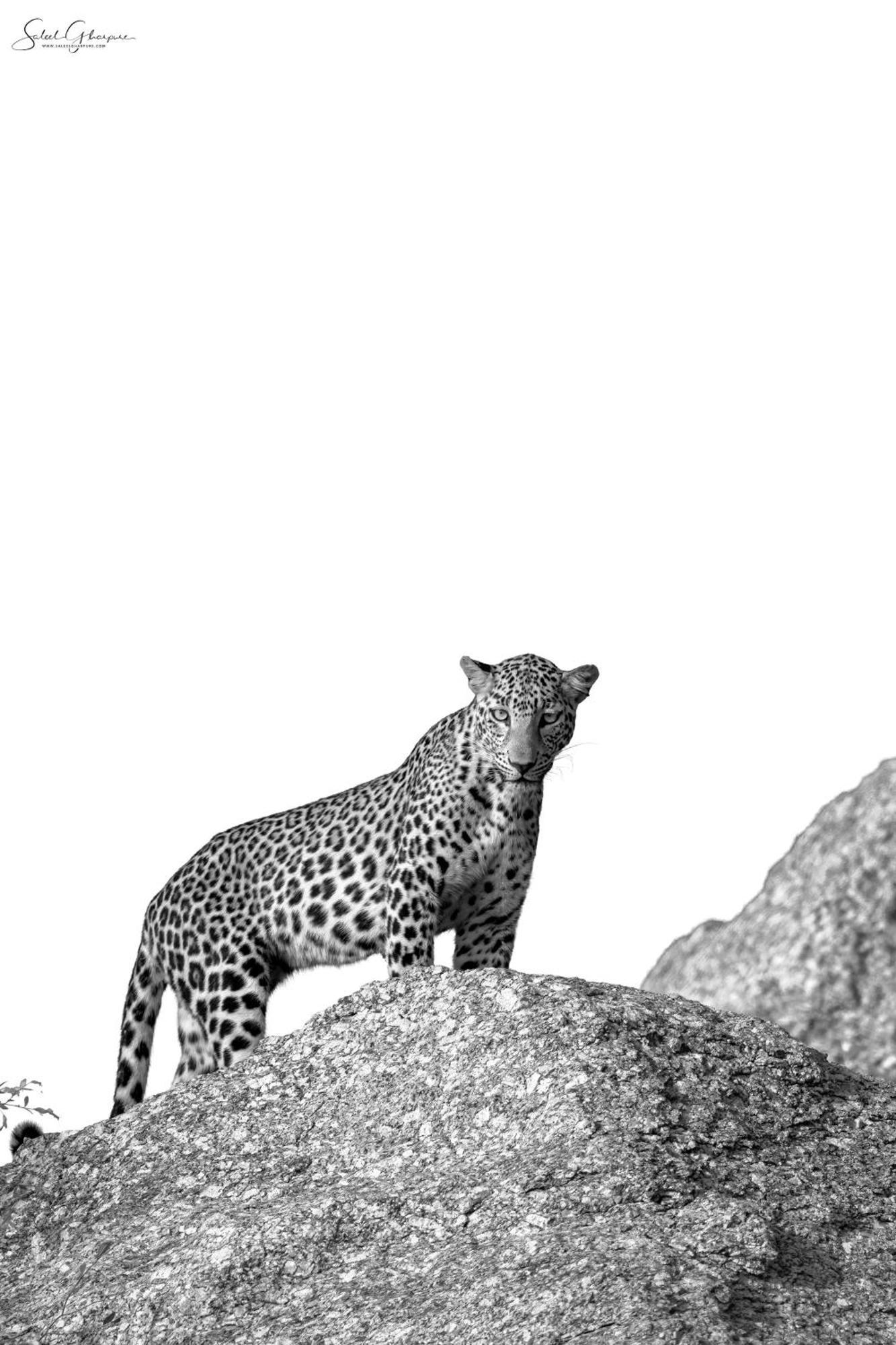 Jawai Leopard Villa Bijapur  Eksteriør billede