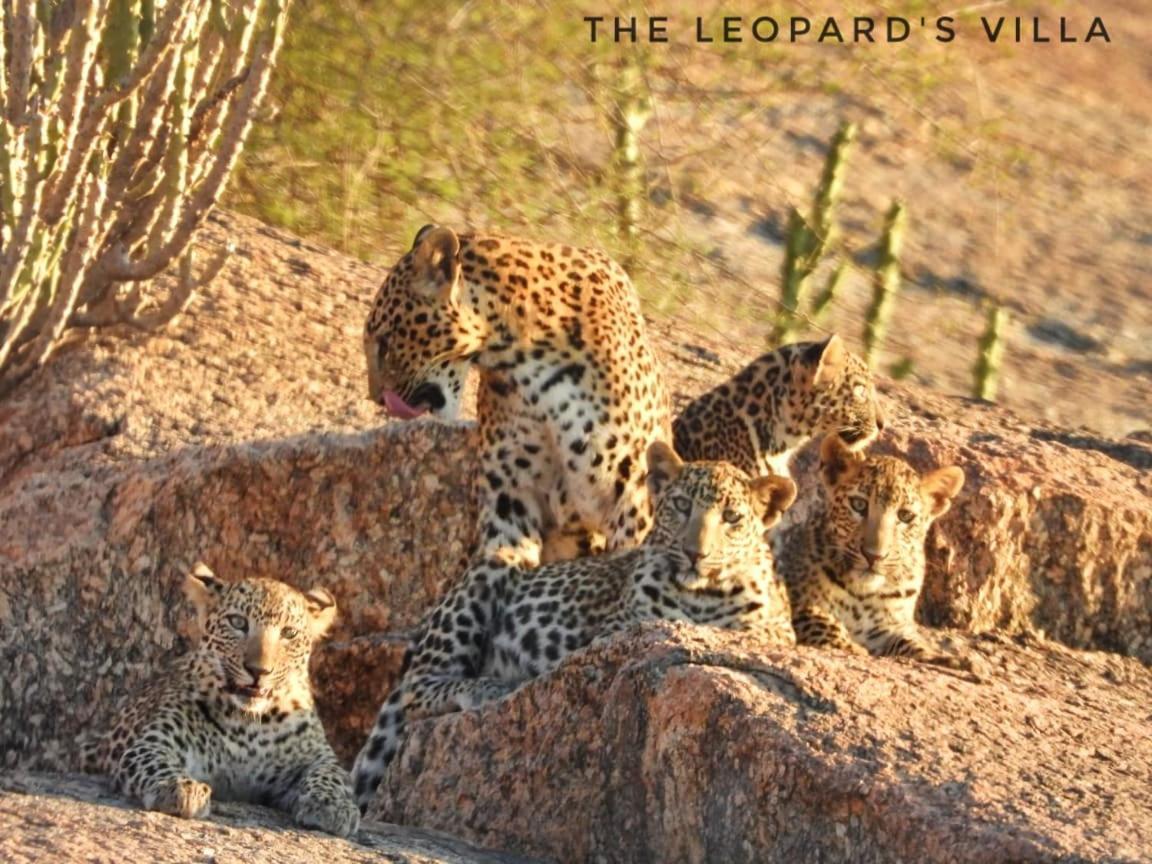 Jawai Leopard Villa Bijapur  Eksteriør billede